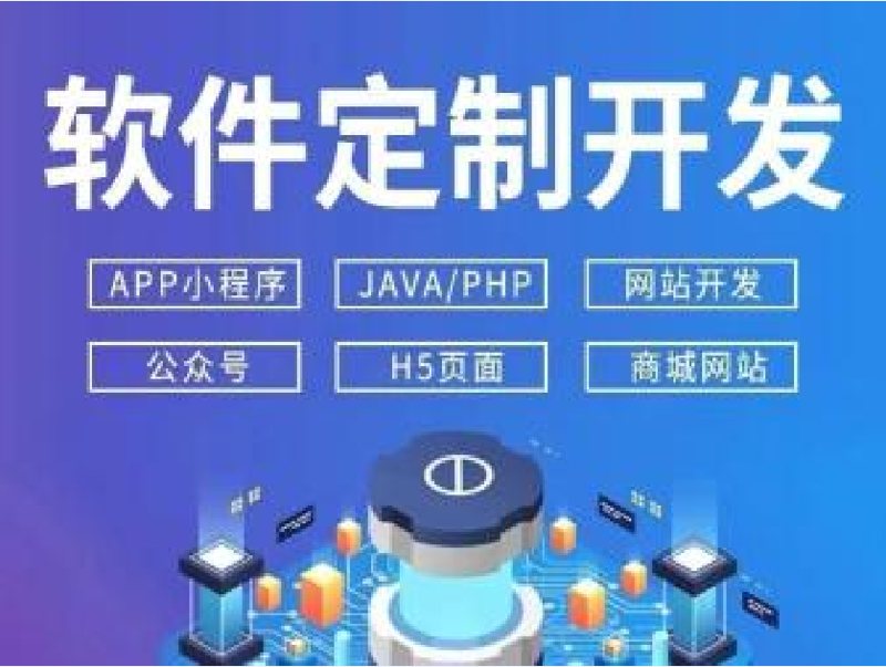 信息技术咨询服务:选择与成长